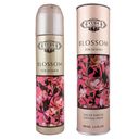 CUBA BLOSSOM dama