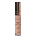 FLAWLESS STAY CONCEALER C19