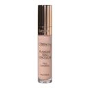 FLAWLESS STAY CONCEALER C6