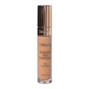 FLAWLESS STAY CONCEALER C15